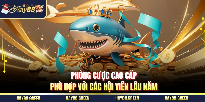 Phòng cược cao cấp phù hợp với các hội viên lâu năm