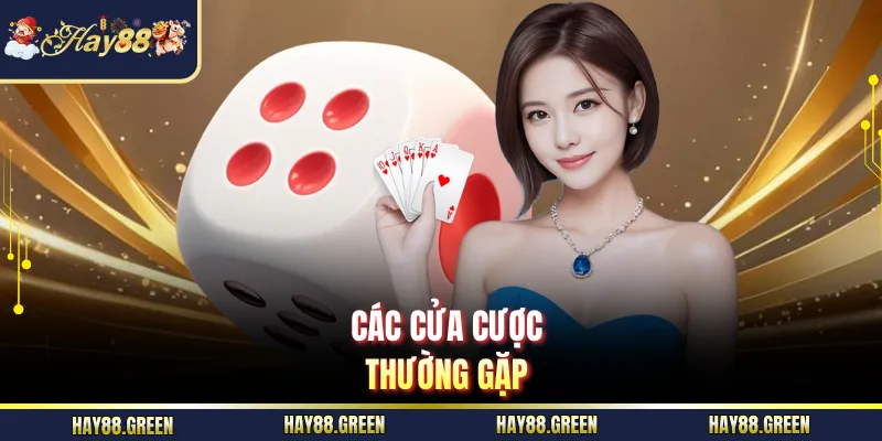 Các cửa cược thường gặp
