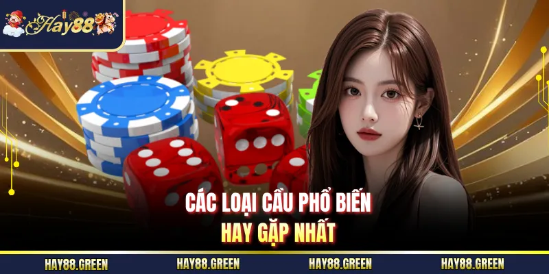 Các loại cầu phổ biến hay gặp nhất