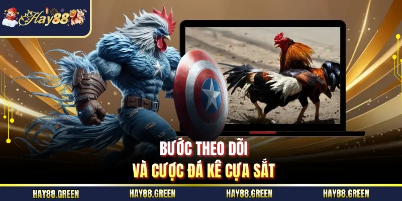 Bước theo dõi và cược đá kê cựa sắt
