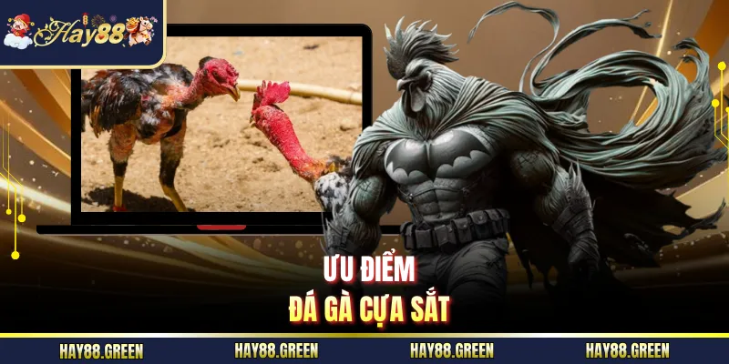 Ưu điểm đá gà cựa sắt