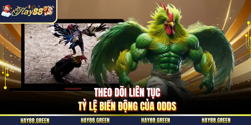 Theo dõi liên tục tỷ lệ biến động của odds