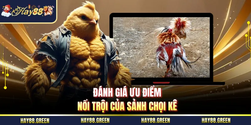 Đánh giá ưu điểm nổi trội của sảnh chọi kê