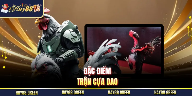 Đặc điểm trận cựa dao
