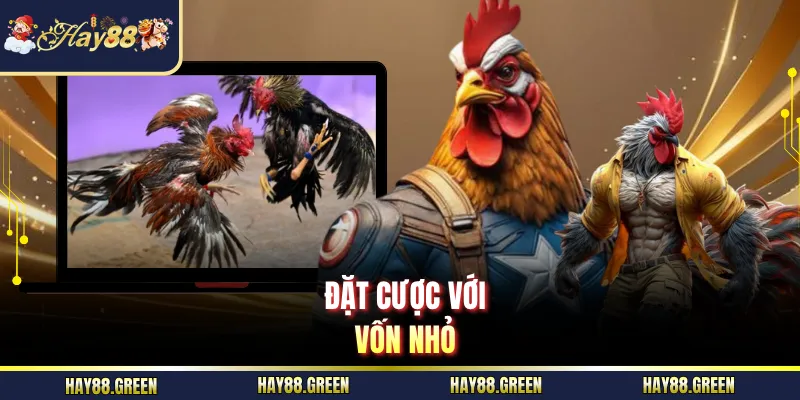 Đặt cược với vốn nhỏ