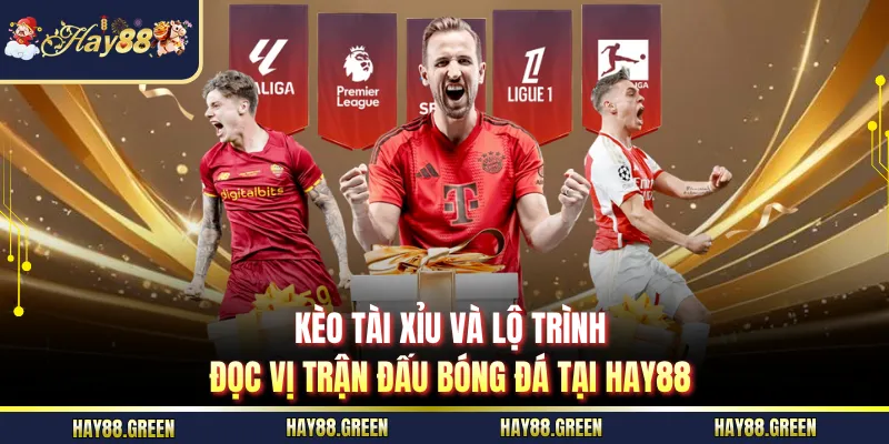 Kèo tài xỉu