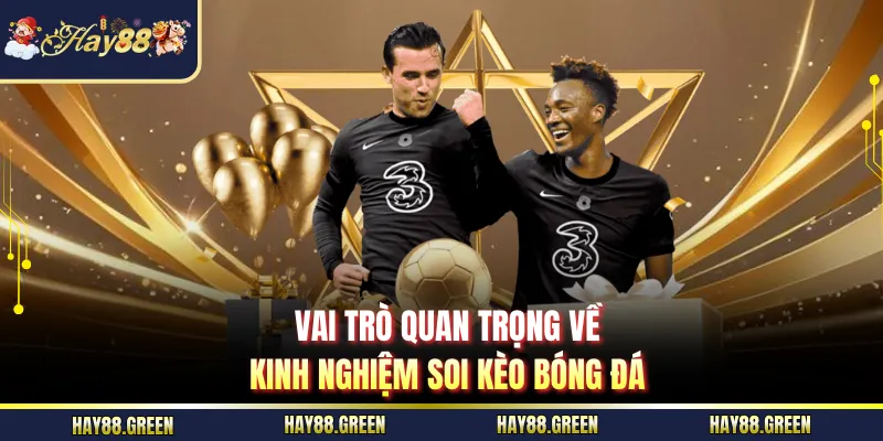 Vai trò quan trọng về kinh nghiệm soi kèo bóng đá