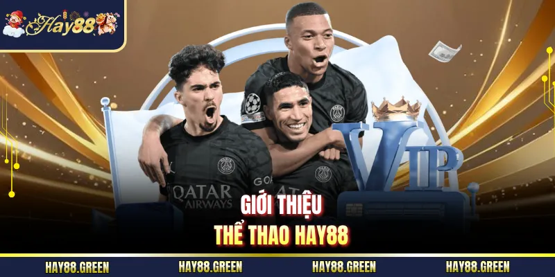 Giới thiệu thể thao HAY88